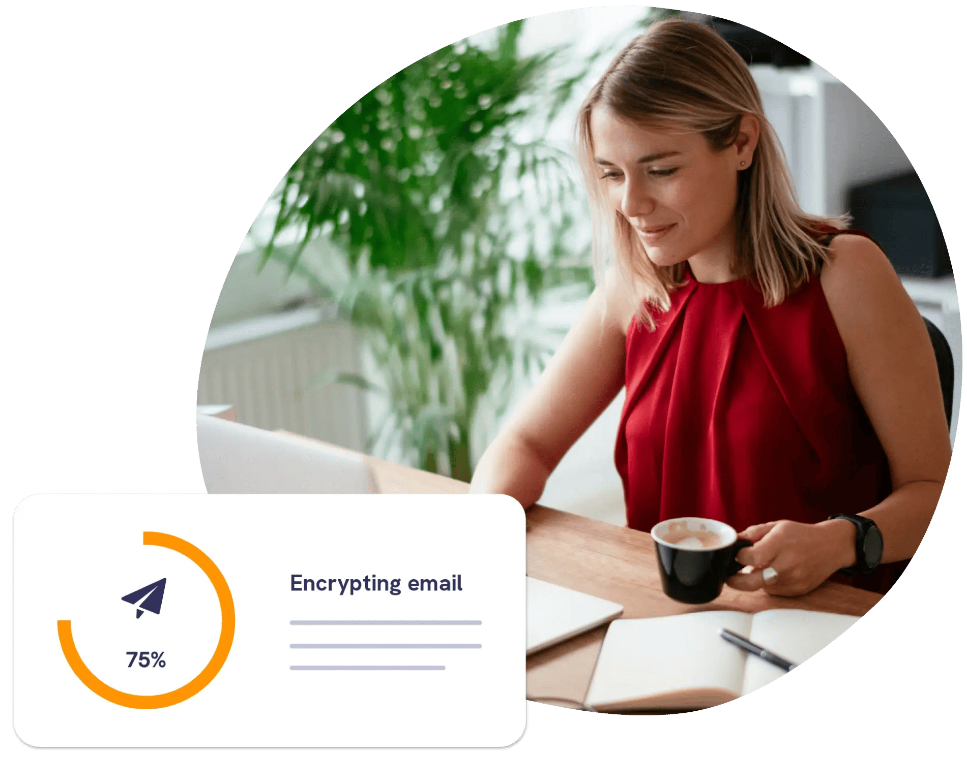 Adviser using mailock on laptop