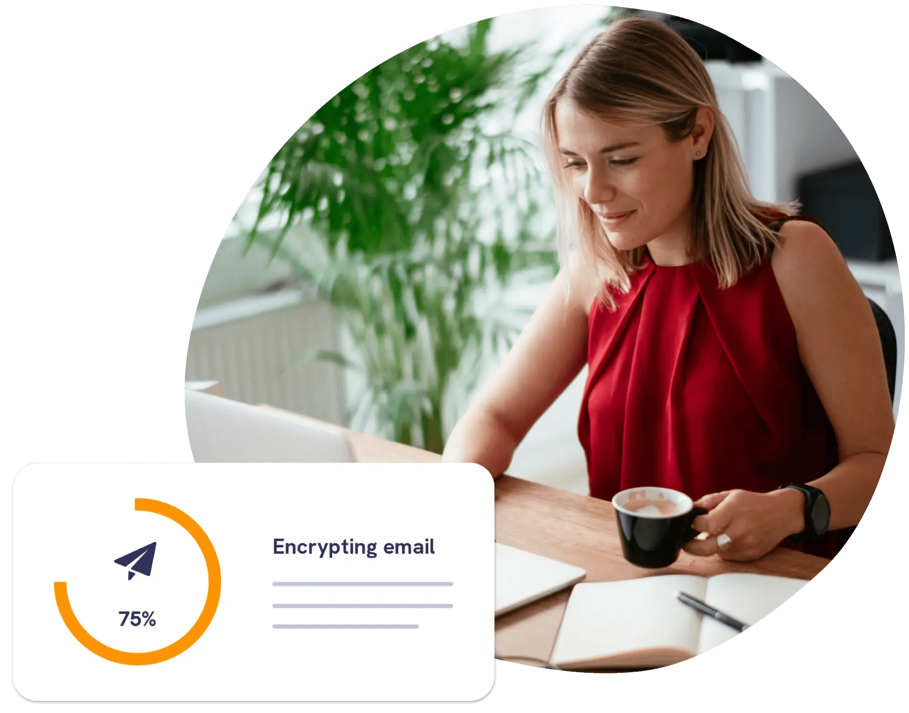 Adviser using mailock on laptop