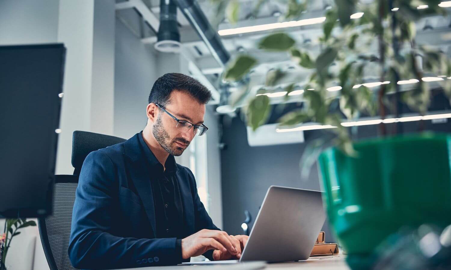 Male typing in office on laptop in front of plant