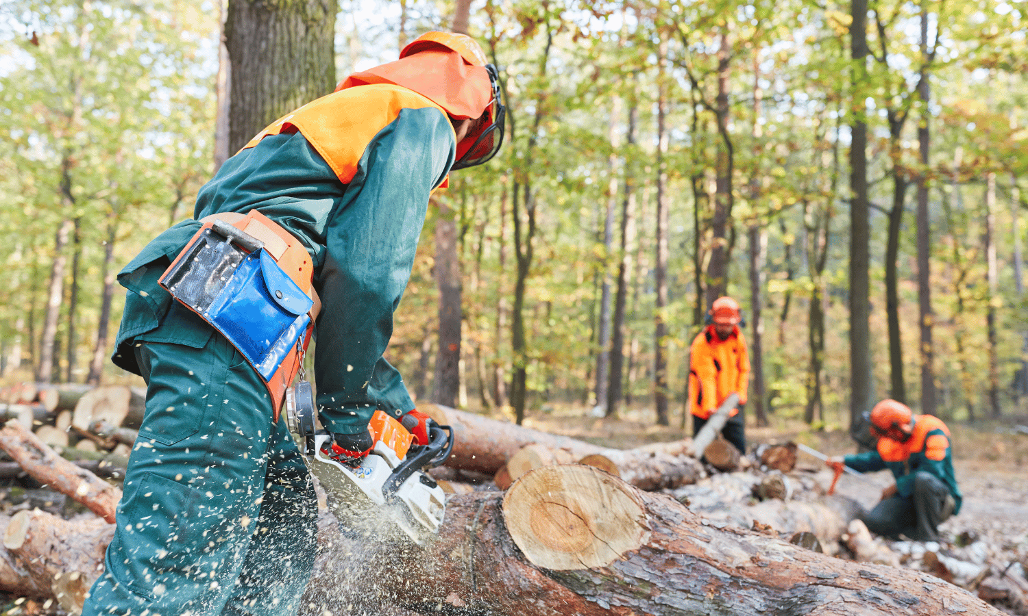 Man working for print logging project