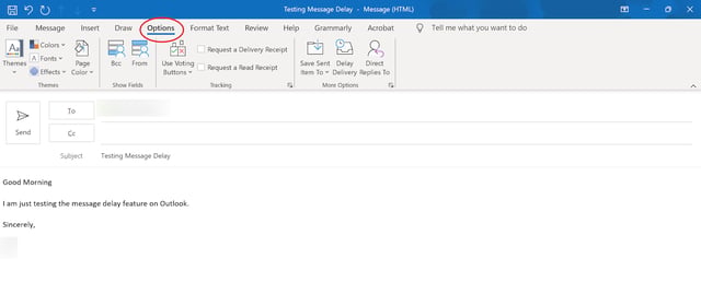 Outlook Message Delay Feature