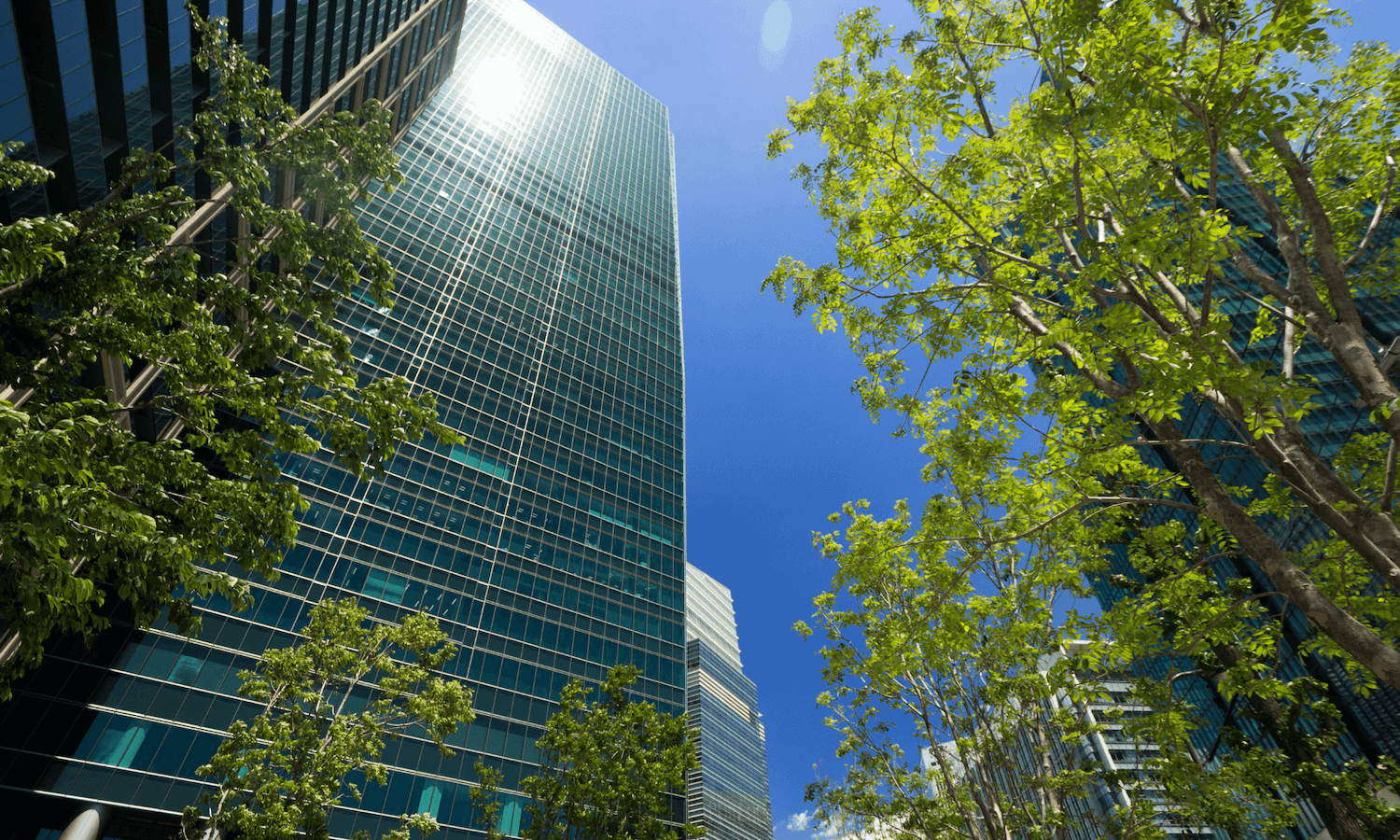 Sustainable office buildings with trees outside
