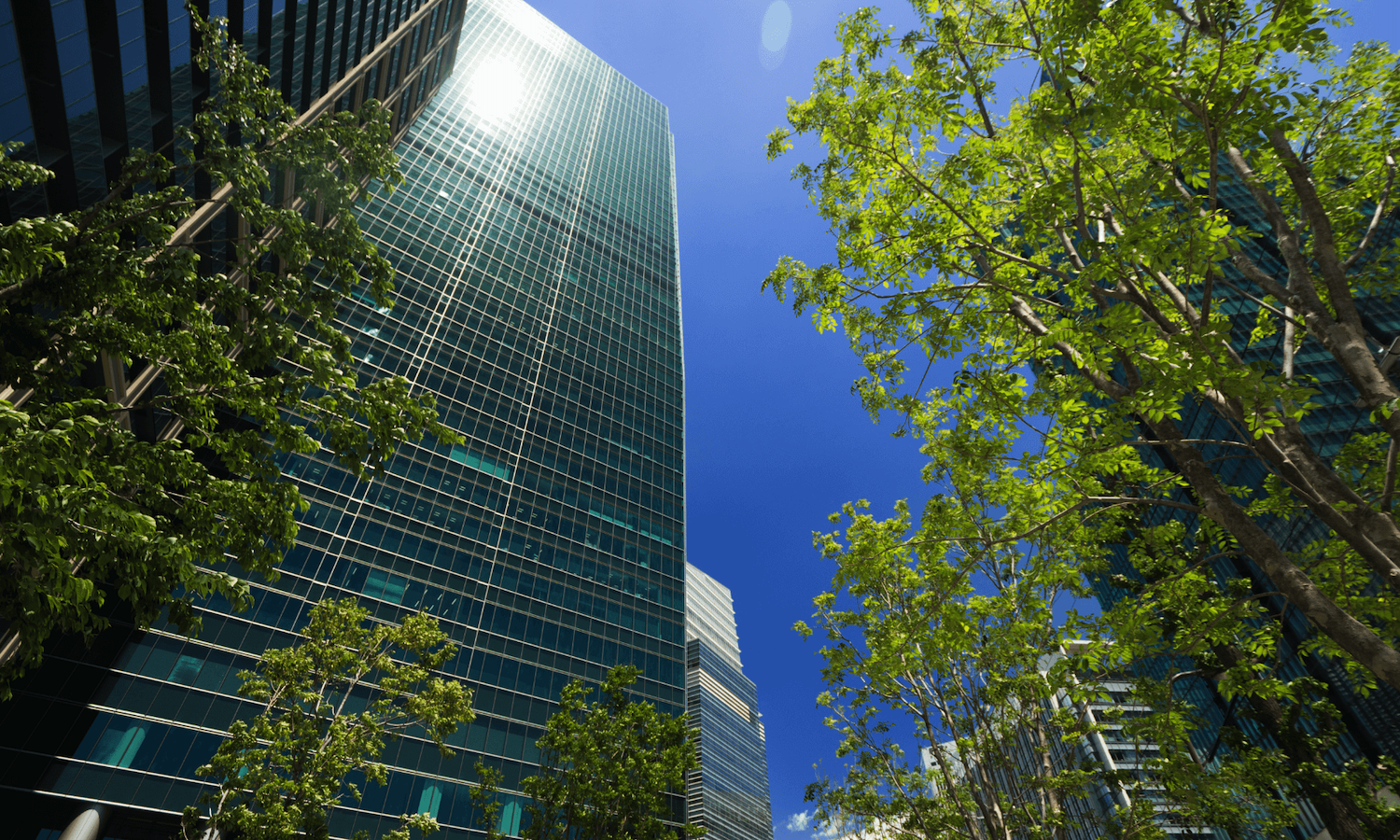 Sustainable office buildings
